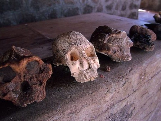 Hyrax Hill Museum
